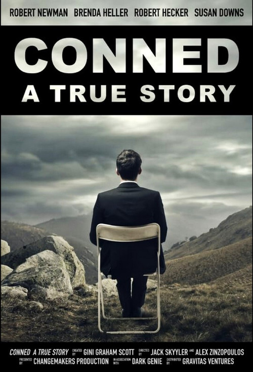 Постер: Conned