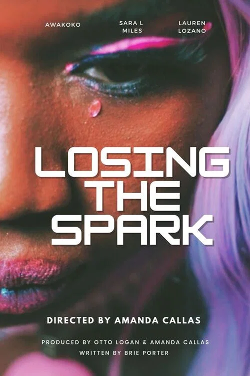 Постер: Losing the Spark