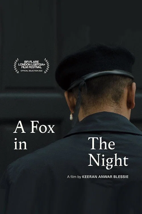 Постер: A Fox in the Night
