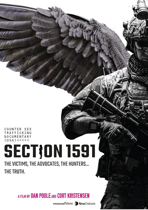 Постер: Section 1591