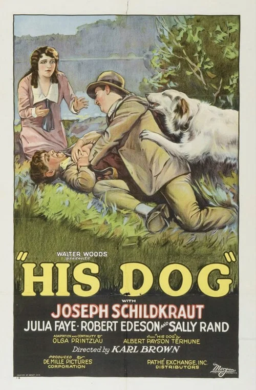 Постер: His Dog