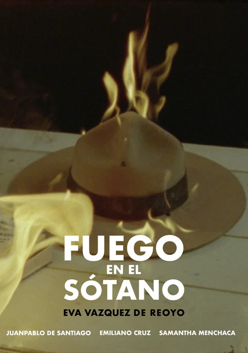 Постер: Fire in the Basement