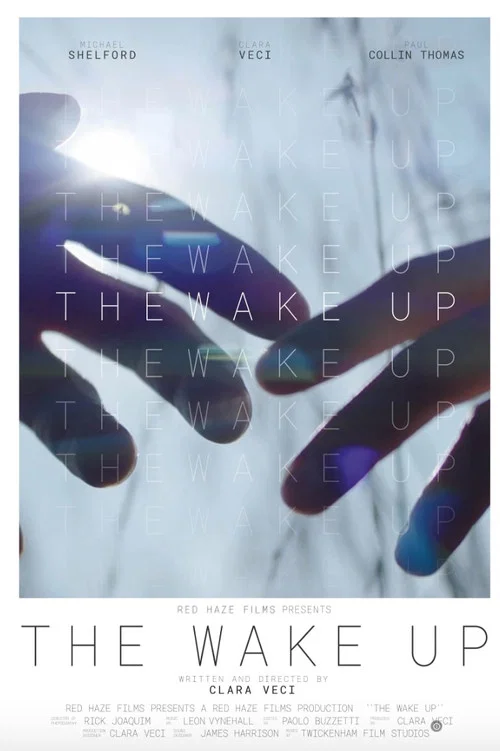 Постер: The Wake Up