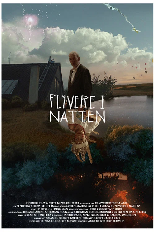 Постер: Flyvere i natten