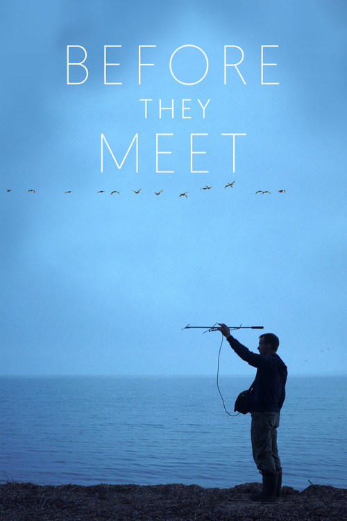 Постер: Before They Meet