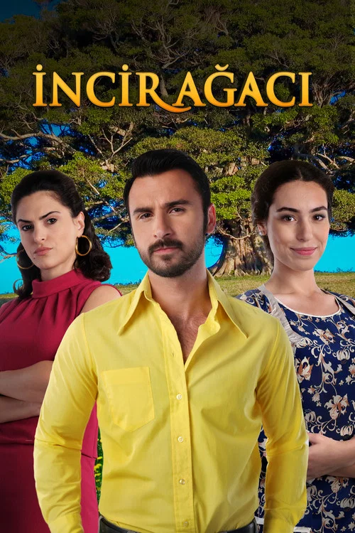 Постер: Incir Agaci