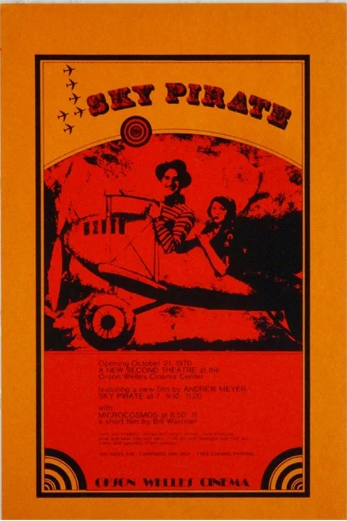 Постер: The Sky Pirate