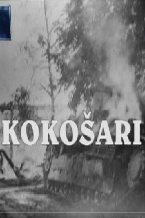 Постер: Kokosari