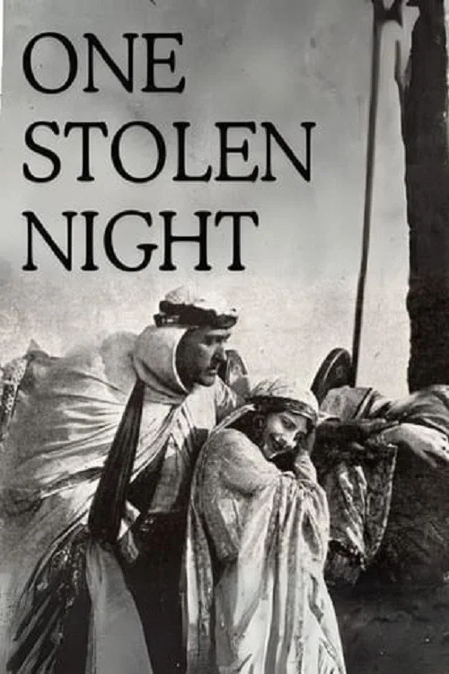 Постер: One Stolen Night