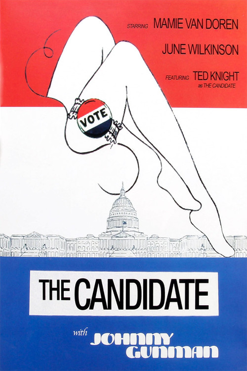 Постер: The Candidate