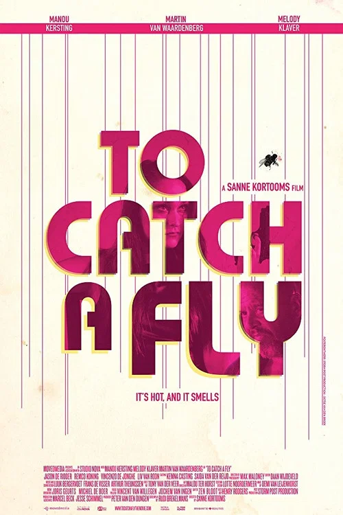 Постер: To Catch a Fly
