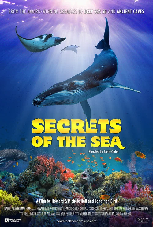 Постер: Secrets of the Sea