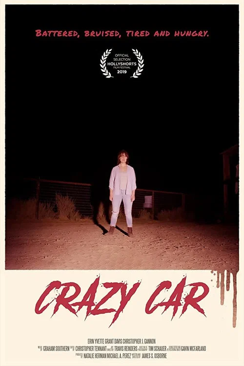 Постер: Crazy Car