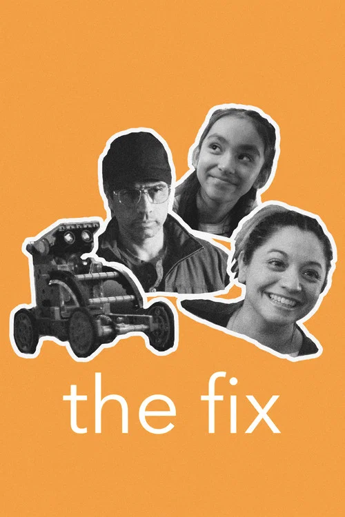 Постер: The Fix