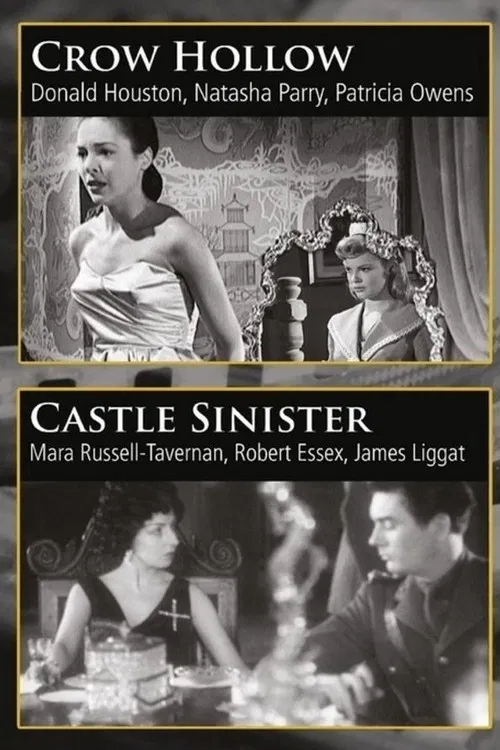Постер: Castle Sinister