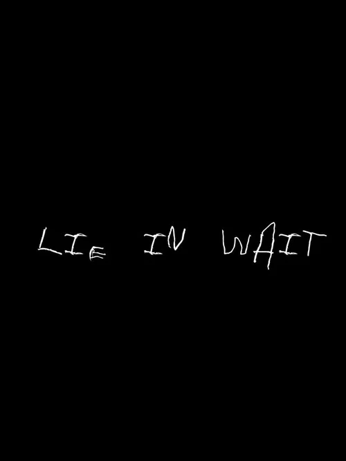 Постер: Lie In Wait