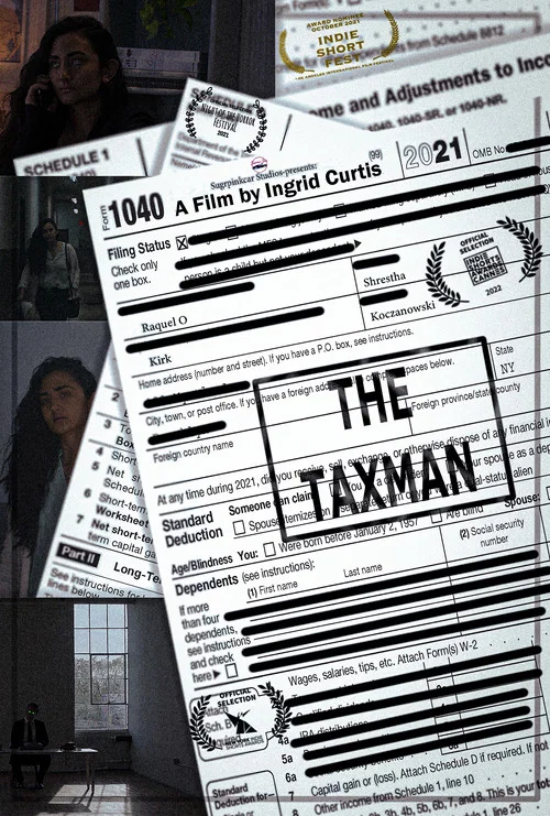Постер: The Taxman