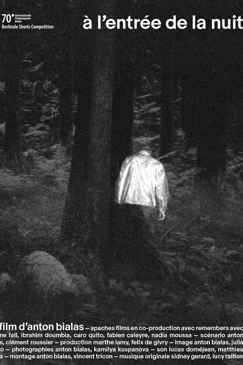 Постер: À l'entrée de la nuit