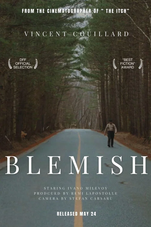 Постер: Blemish