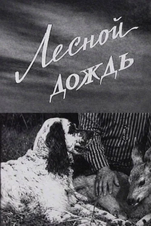 Постер: Лесной дождь