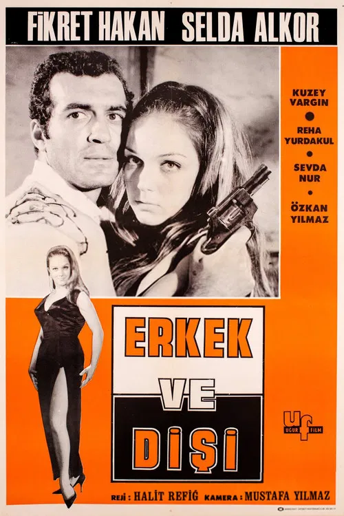 Постер: Erkek ve disi