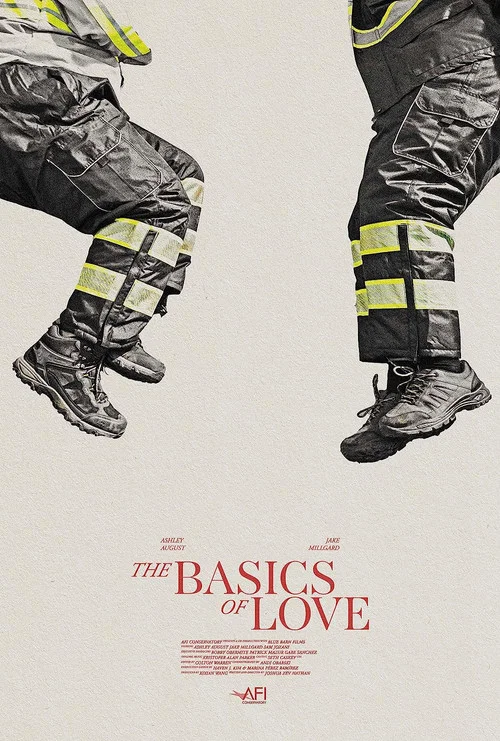 Постер: The Basics of Love