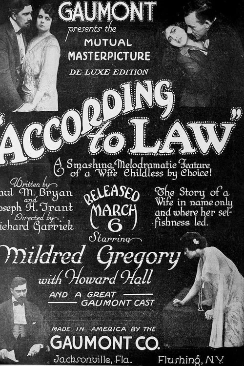Постер: According to Law