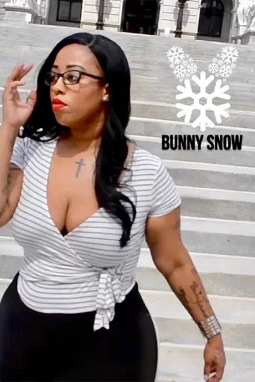 Постер: Bunny Snow