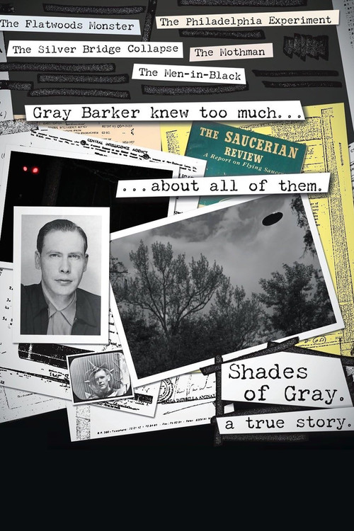 Постер: Shades of Gray