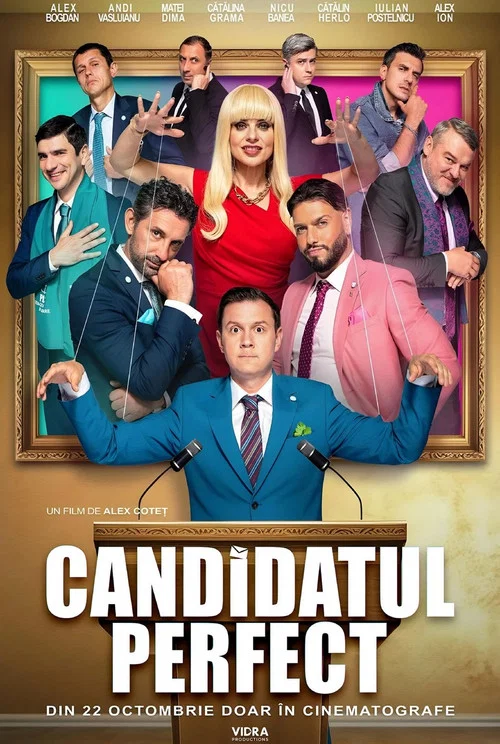 Постер: The Perfect Candidate