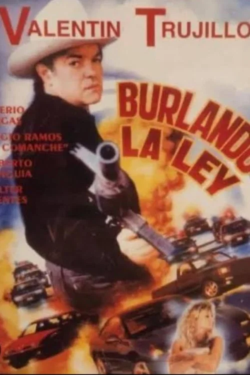 Постер: Burlando la ley
