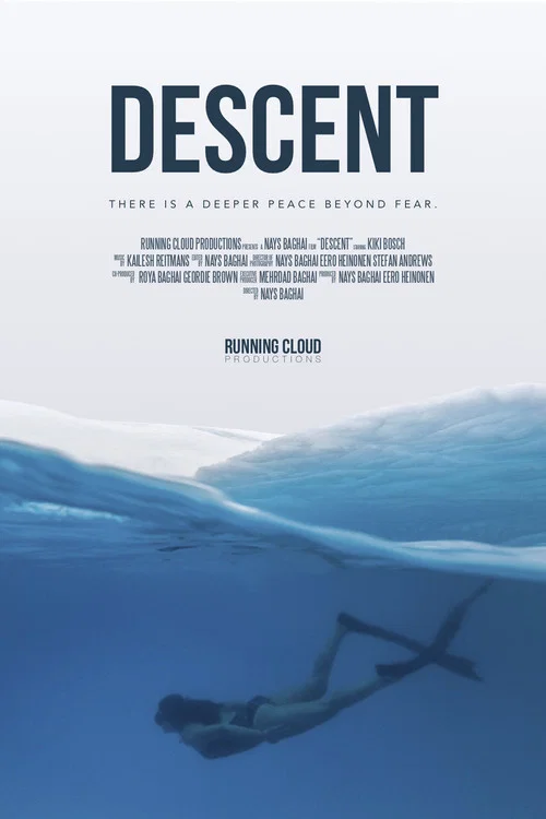 Постер: Descent
