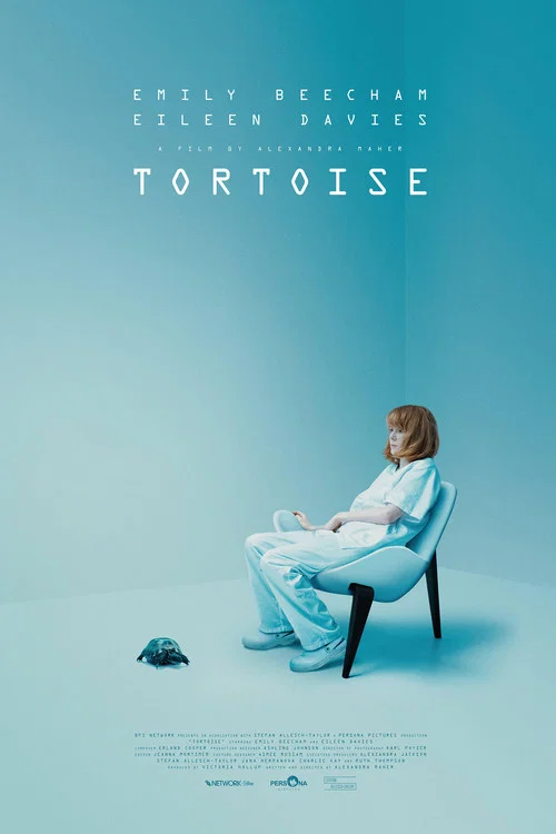 Постер: Tortoise