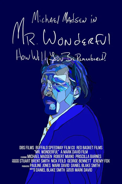 Постер: Mr. Wonderful