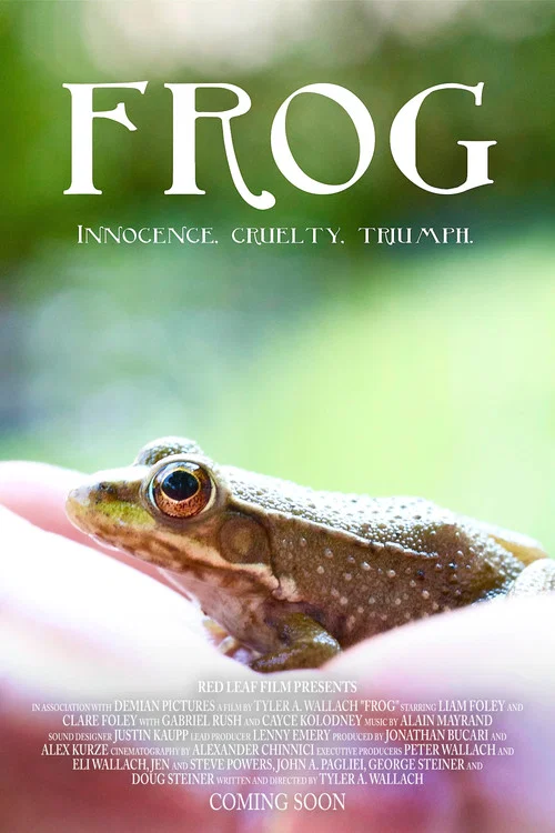 Постер: Frog