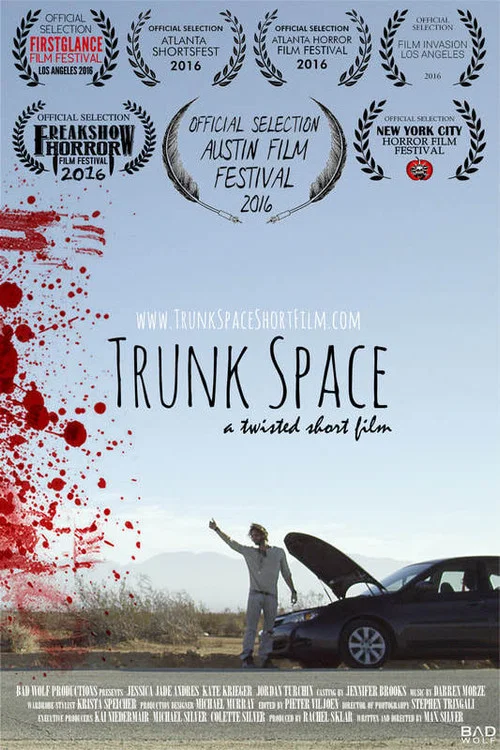Постер: Trunk Space