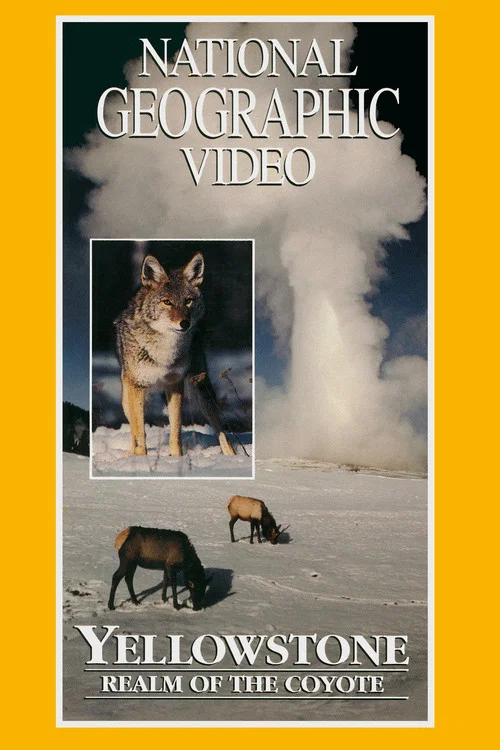 Постер: Yellowstone: Realm of the Coyote