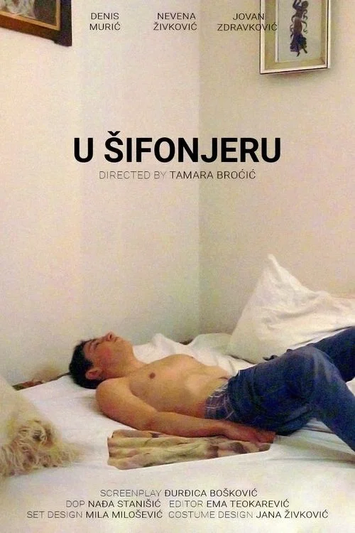 Постер: У шифоњеру