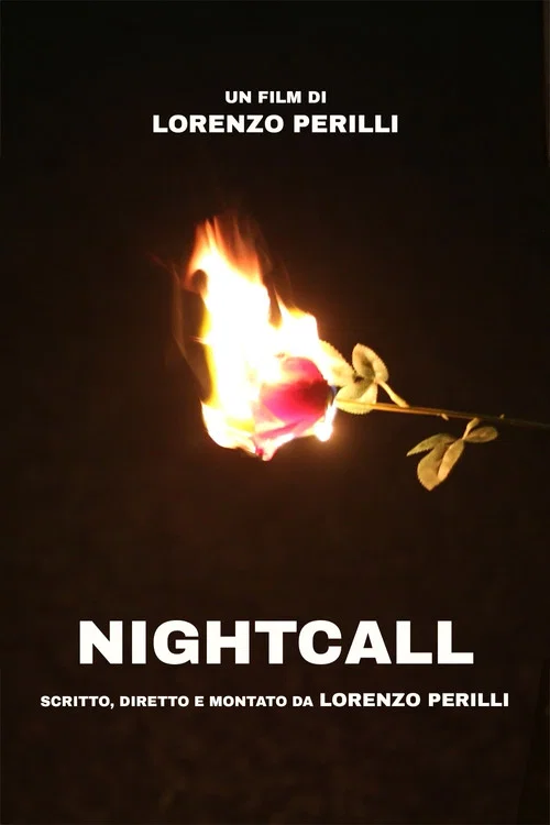 Постер: Nightcall