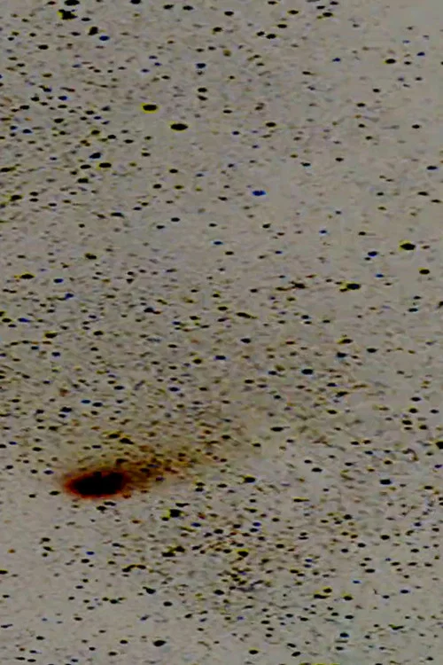 Постер: Halley's Comet