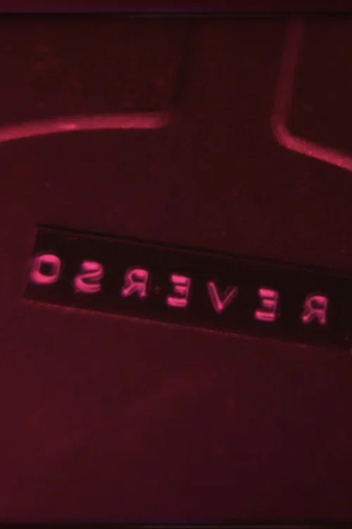 Постер: Reverso