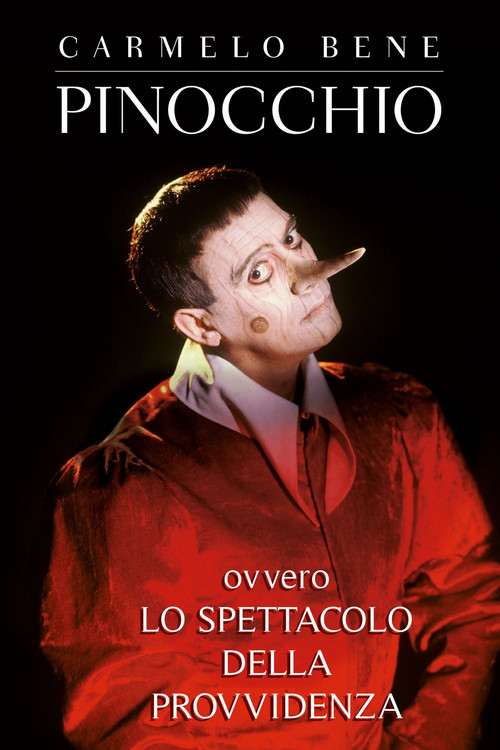 Постер: Pinocchio ovvero lo spettacolo della provvidenza