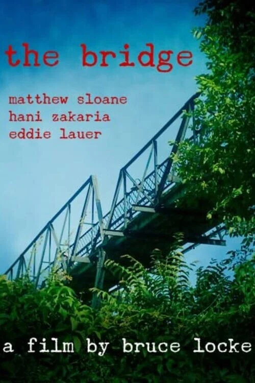 Постер: The Bridge