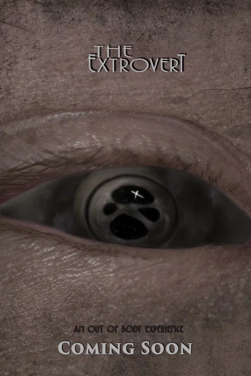 Постер: The Extrovert