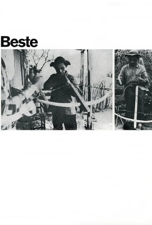Постер: Beste