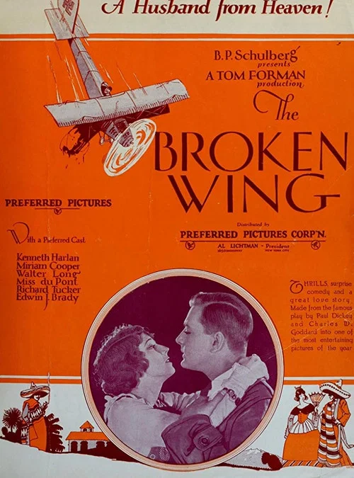Постер: The Broken Wing