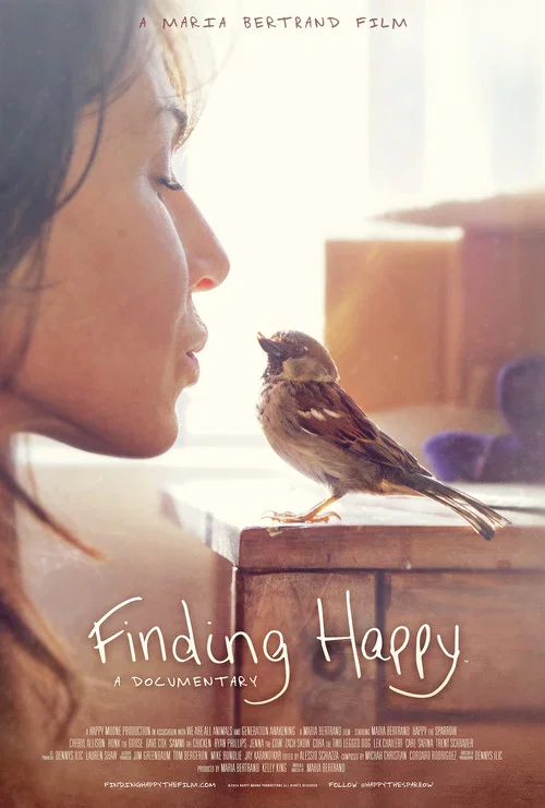 Постер: Finding Happy