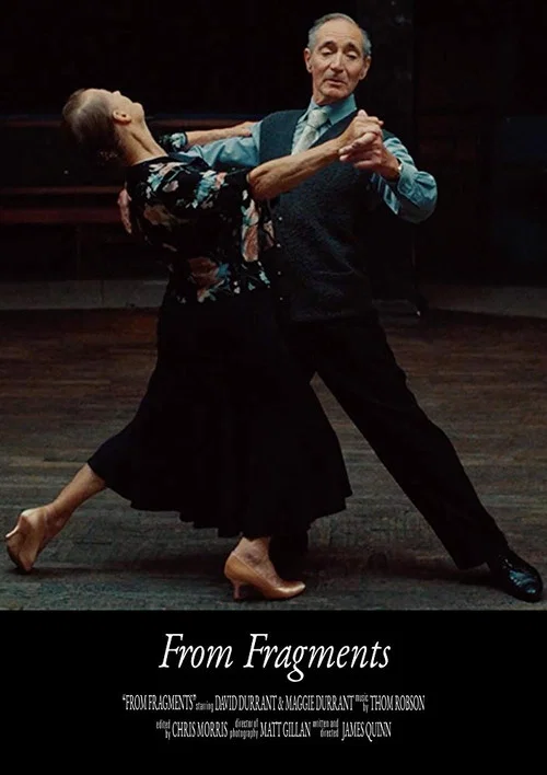Постер: From Fragments