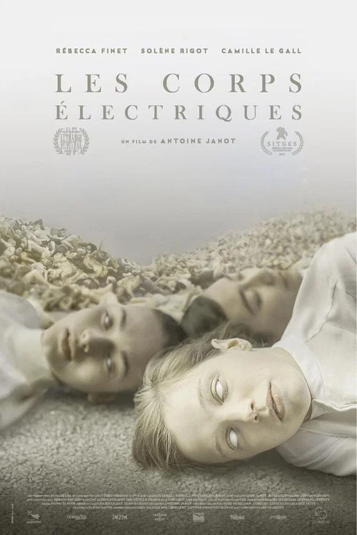 Постер: Les corps électriques
