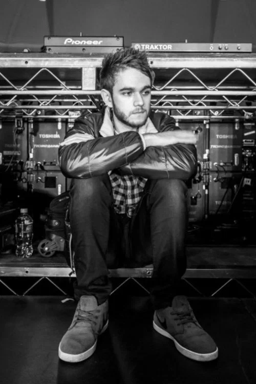 Постер: Zedd: «Moment of Clarity»